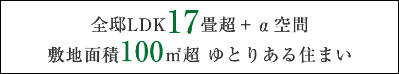 全邸LDK17畳超＋α空間｜敷地面積100㎡超 ゆとりある住まい