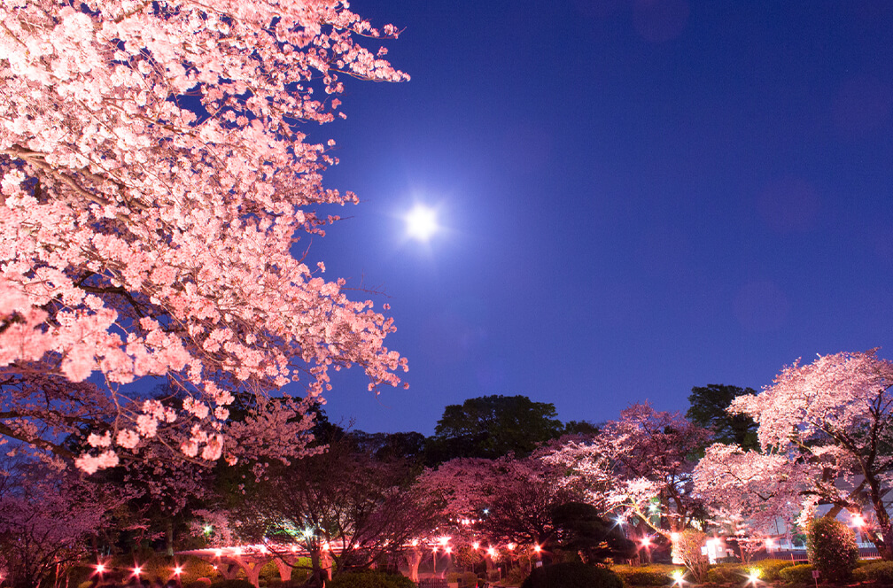 里見公園