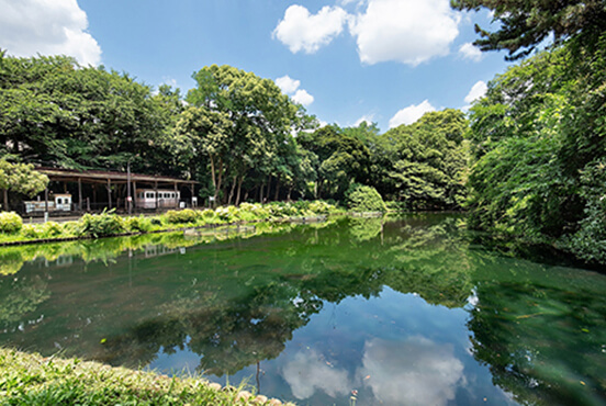 習志野市藤崎森林公園