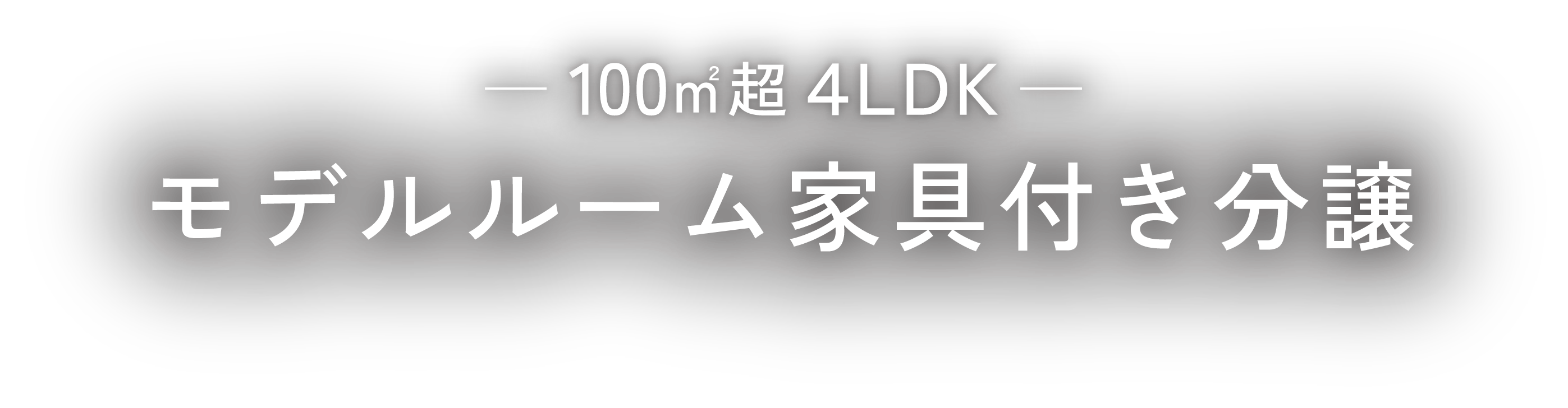 100平方メートル 4LDK モデルルーム家具付分譲