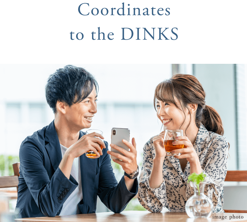 Coordinates to the DINKS