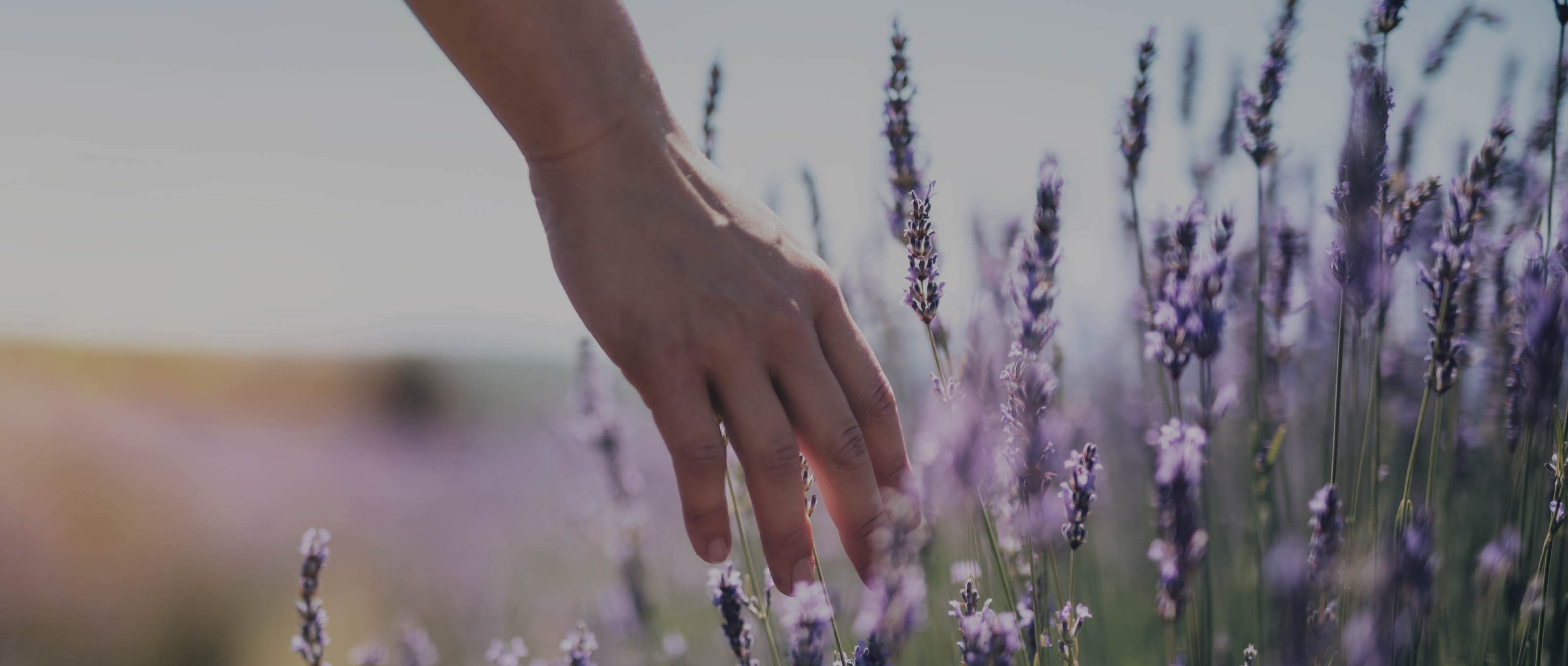 人が花に触れている様子