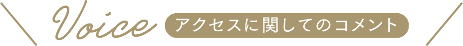 Voice アクセスに関してのコメント