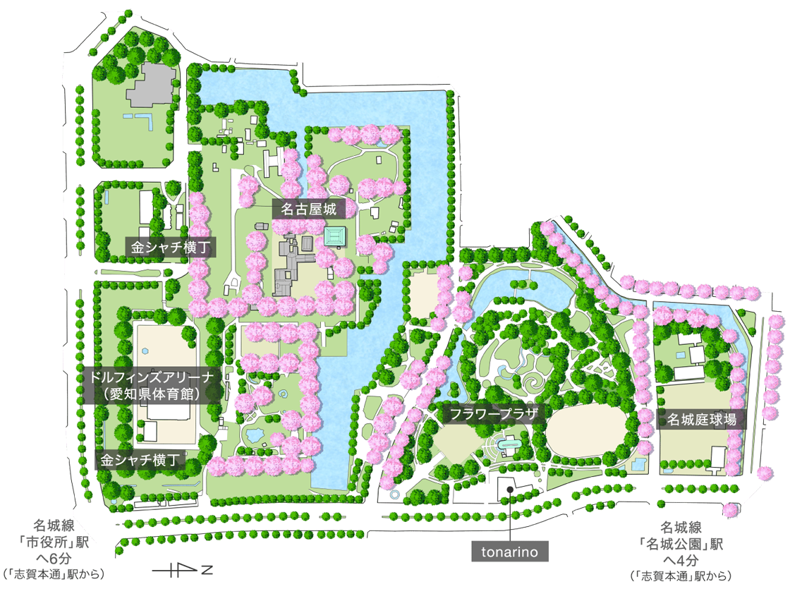 園内には、約2,400本以上の桜が植えられています