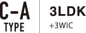 C-A TYPE