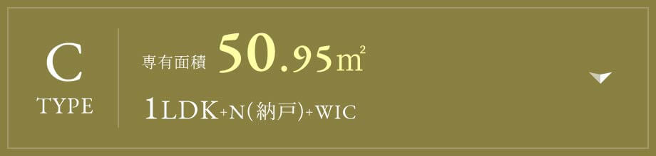 C type
