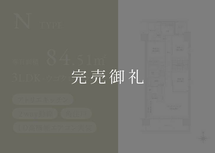 N type 完売御礼