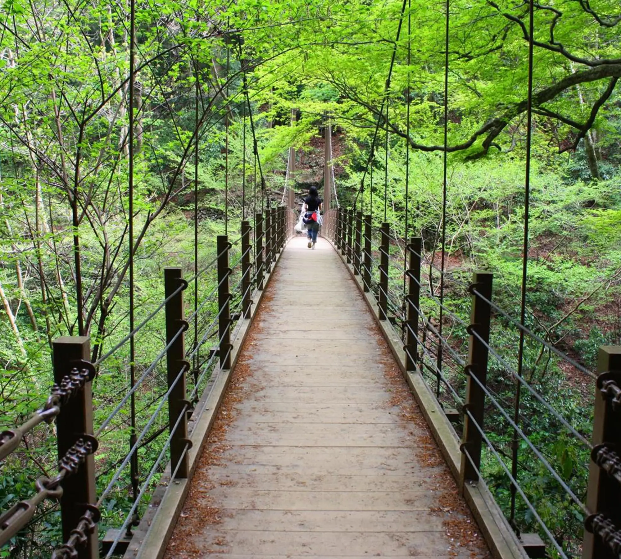 高尾山(車約7分/約7.5km) 提供写真