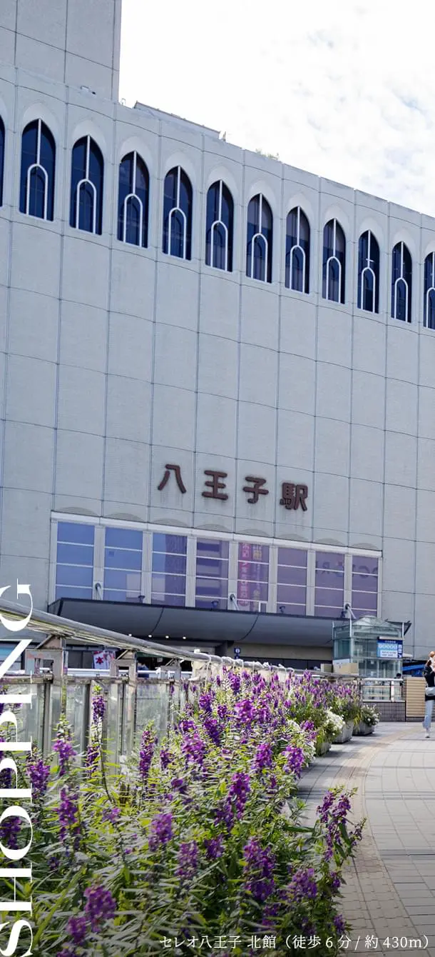セレオ八王子 北館（徒歩6分/約430m）