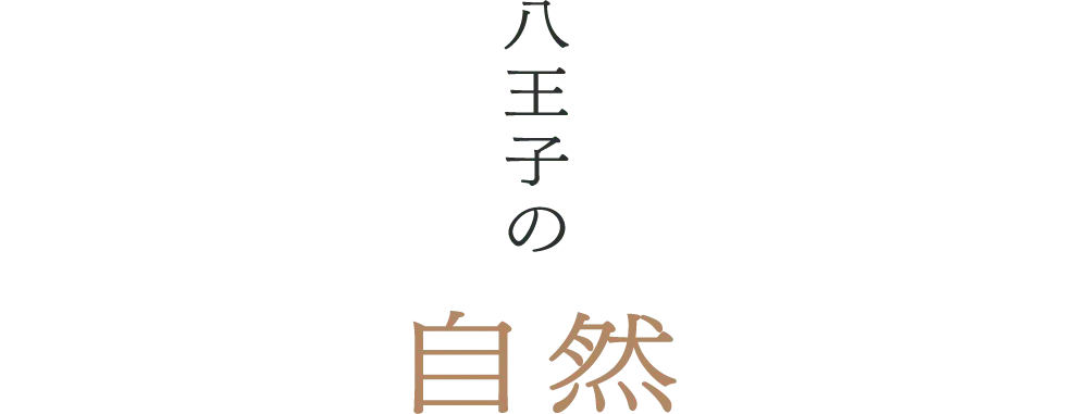 八王子の自然