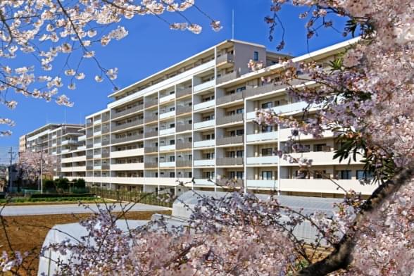ルネ花小金井