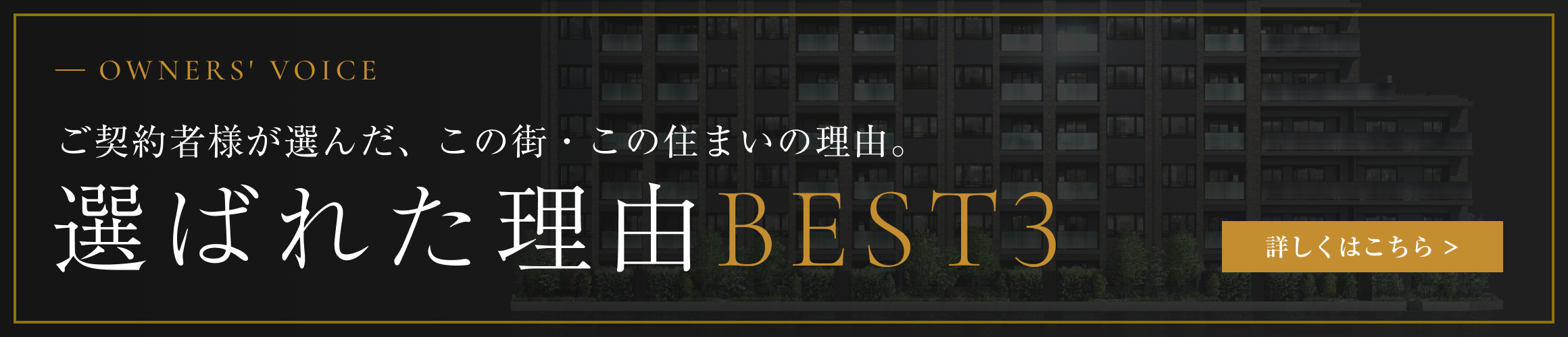 選ばれた理由