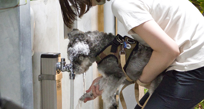 みんなの洗い場