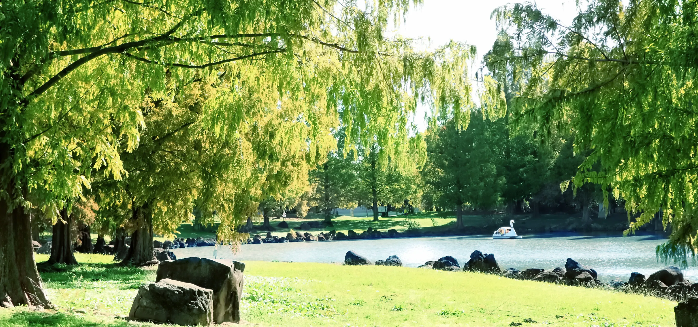 加須はなさき公園（約4.6km）