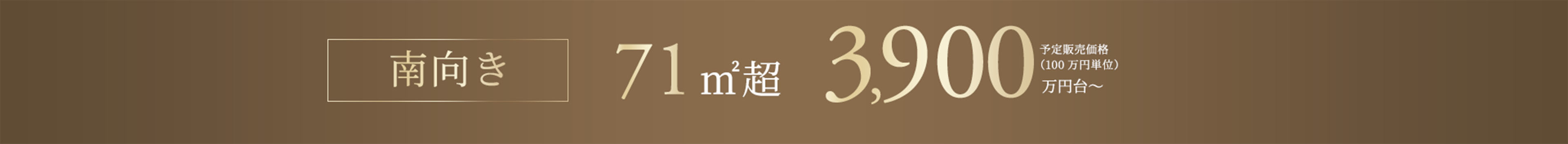 南向き 71㎡超　3,900万円台～