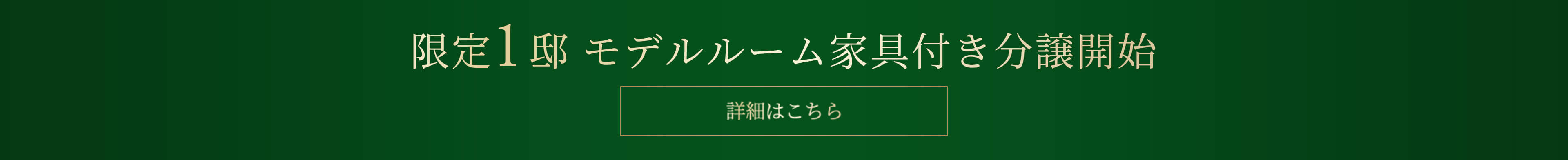限定1邸 モデルルーム家具付き分譲開始