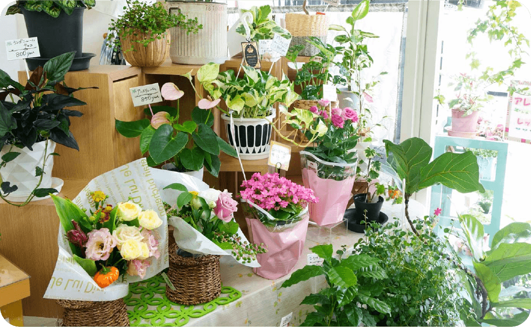 flower studio you花