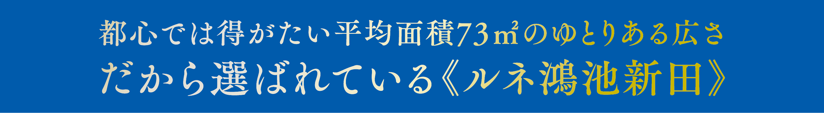 都心では得がたい平均面積73㎡のゆとりある広さだから選ばれている《ルネ鴻池新田》