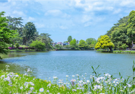 「大宮公園」へ