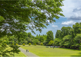 「市民の森・見沼グリーンセンター」へ