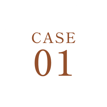 CASE01